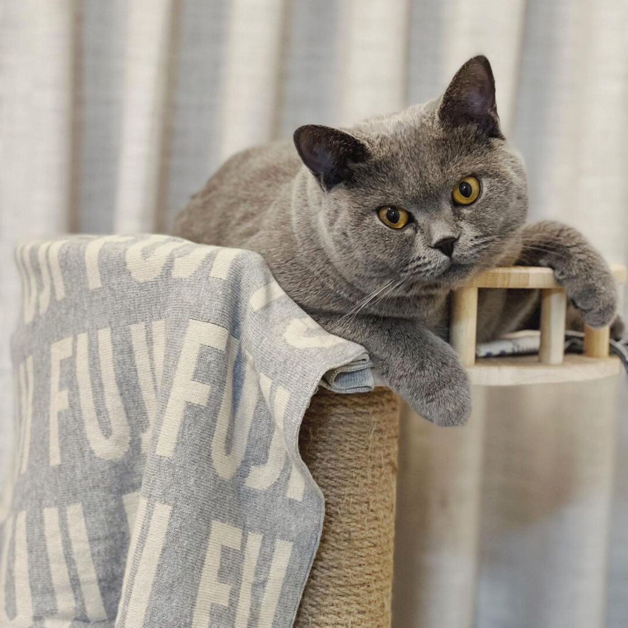 Personalized Blanket for Pets (Light Grey Background)