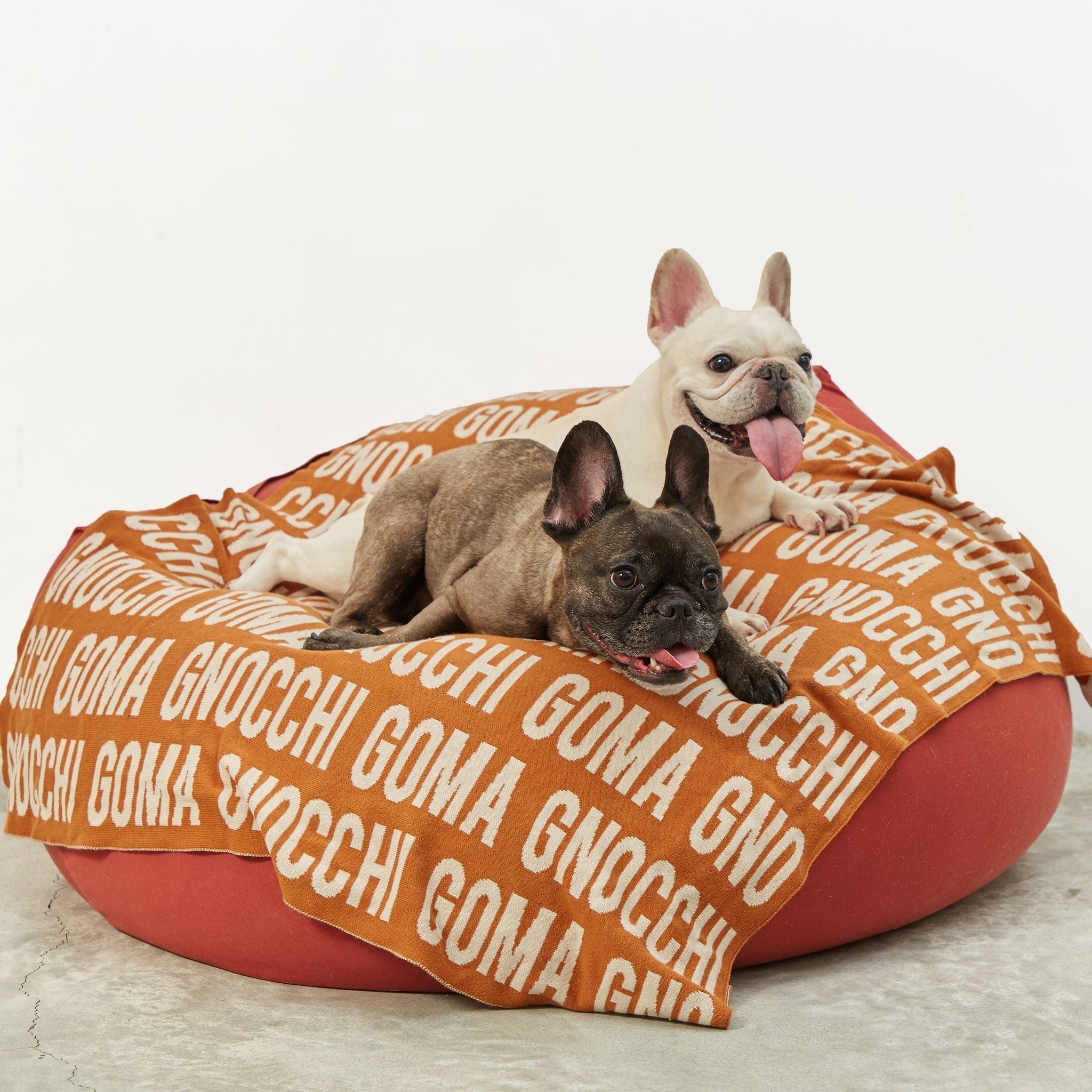 Personalized Blanket for Pets (Rust Background)