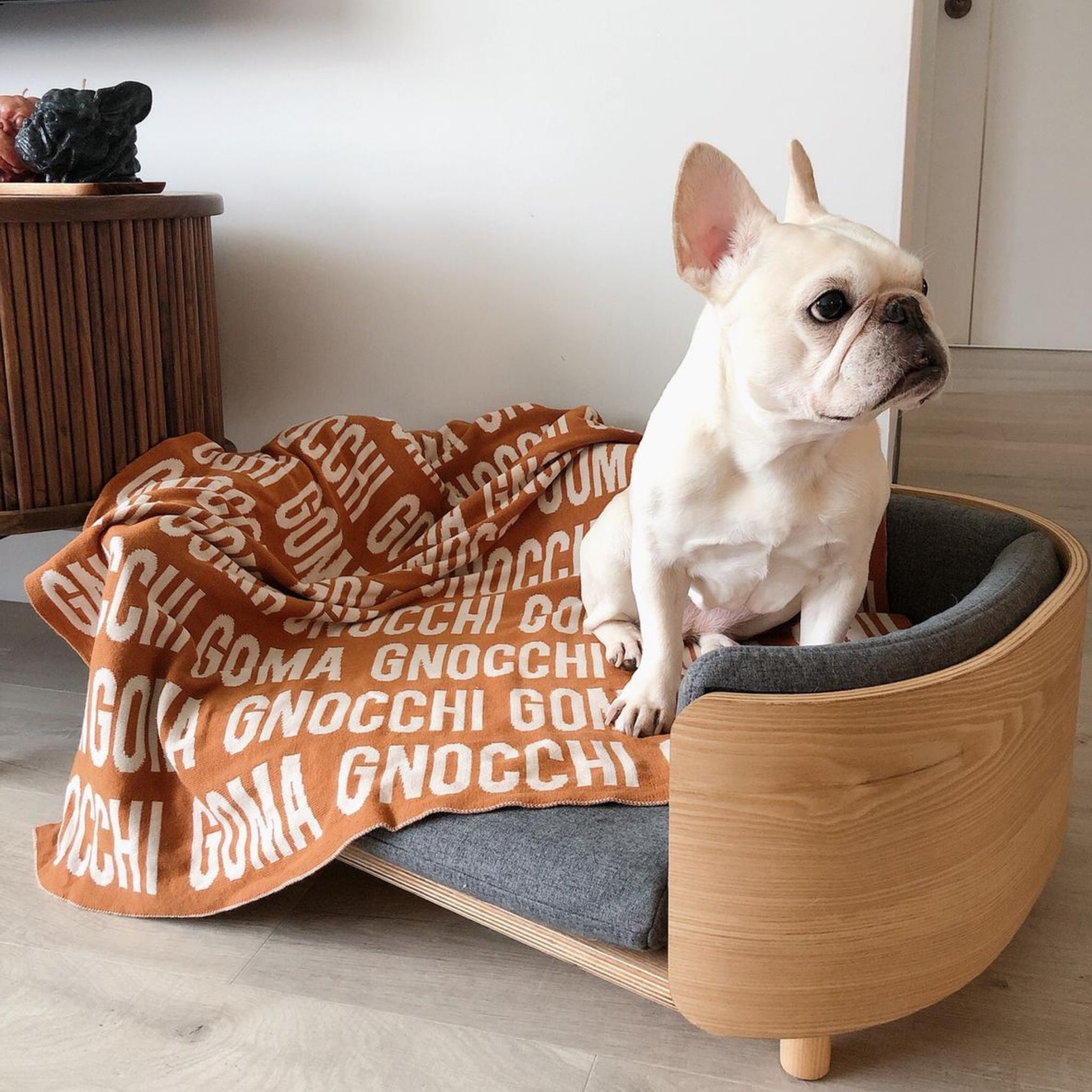 Personalized Blanket for Pets (Rust Background)