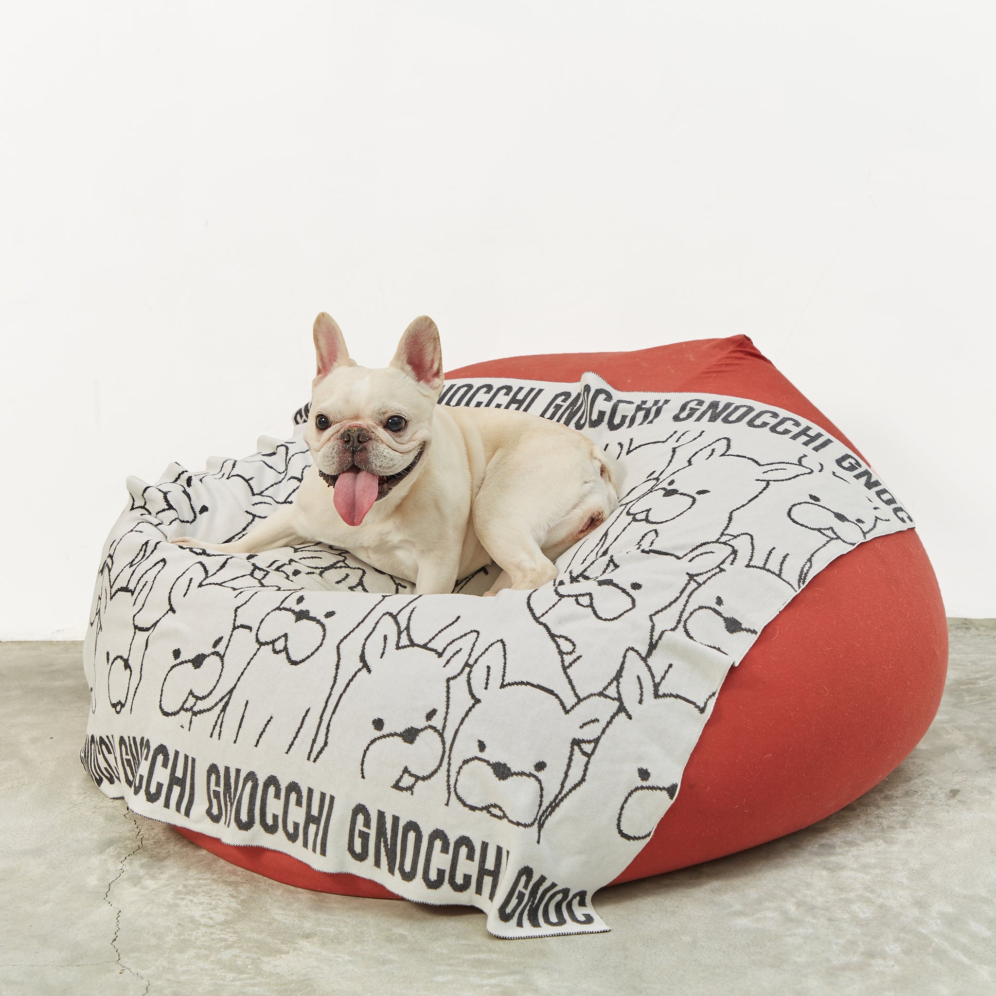 TinyBitz x GG: Personalized Blanket for Frenchie